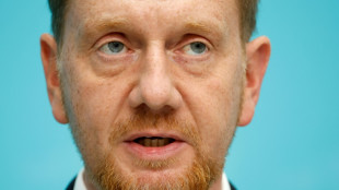 Merz kritisiert Woidke-Unterst&uuml;tzung durch s&auml;chsischen Regierungschef Kretschmer