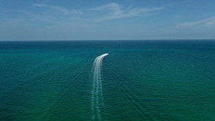 Des dizaines de pays au bapt&ecirc;me du trait&eacute; pour prot&eacute;ger la haute mer