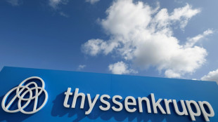 Daniel Kretinsky &eacute;tend son empire europ&eacute;en &agrave; l'acier