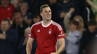 Wood strikes late as Forest sink Blades