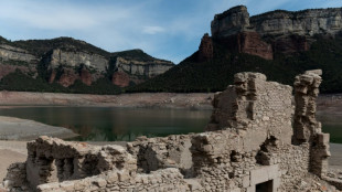 Espagne: faute de pluies, la s&eacute;cheresse ne cesse d'empirer en Catalogne