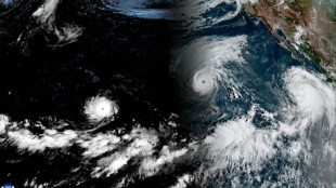Rare train of Pacific cyclones fueled by historic El Nino