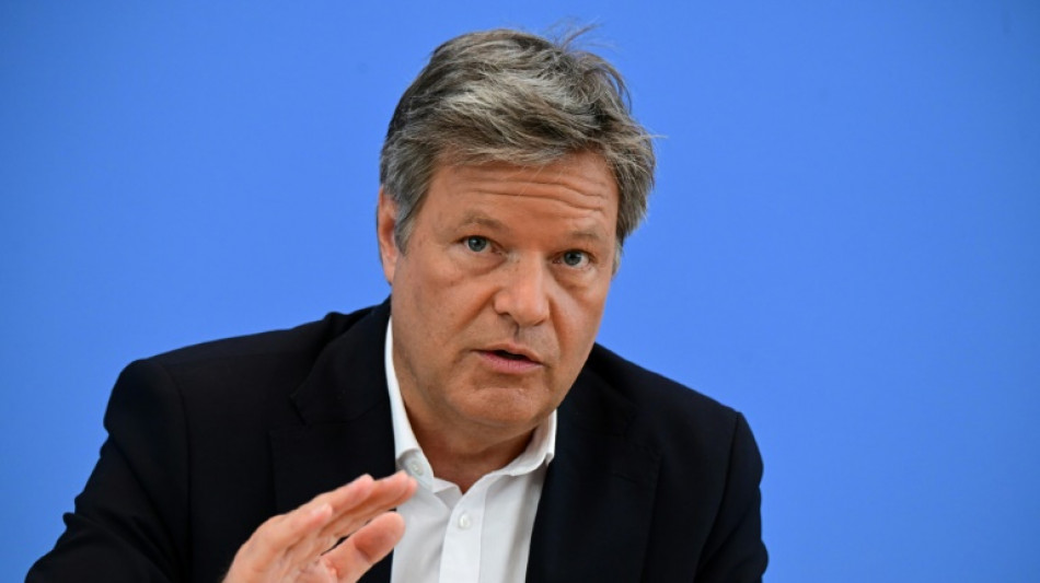 Habeck gibt sein Bundestagsmandat zum 1. September ab