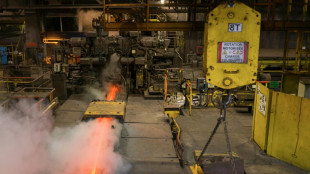 Les pays europ&eacute;ens se r&eacute;unissent au chevet de leur acier