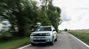 Settimo mese di crescita consecutiva per Stellantis in Italia, Fiat brand pi&ugrave; venduto
