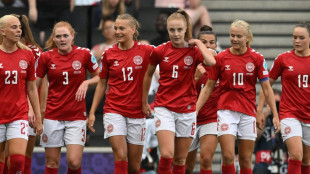 Harder erl&ouml;st D&auml;nemark: Arbeitssieg gegen Finnland