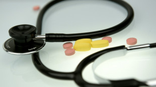 BKK-Daten: Krankenstand verharrt 2024 auf Rekordniveau