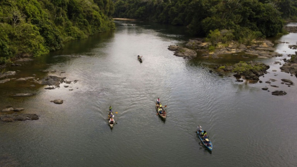 Br&eacute;sil: un barrage menace la biodiversit&eacute; en Amazonie