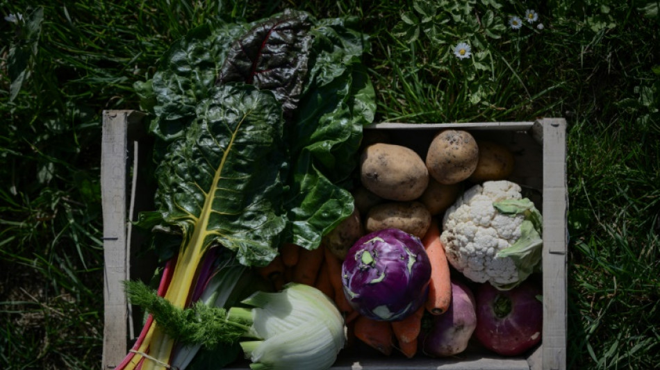 Favoriser l'achat de produits bio pour prot&eacute;ger la femme enceinte et son b&eacute;b&eacute;