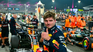 Verstappen takes pole position for season-ending Abu Dhabi GP