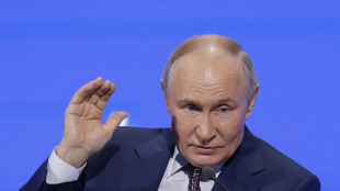 Putin, 'la reazione di Kiev mostrer&agrave; quanto vuole la pace'