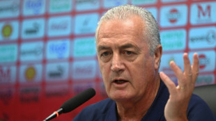 Paraguay quiere ser el equipo "m&aacute;s molesto" del Mundial, dice el DT Alfaro