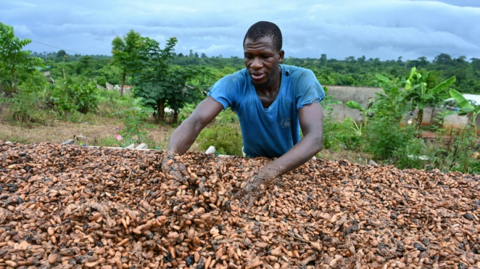 La menace climatique p&egrave;se sur le chocolat, alertent des chercheurs