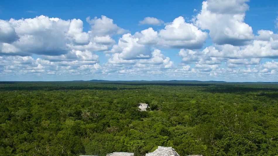 Scoperta nella foresta un'enorme citt&agrave; Maya in Messico