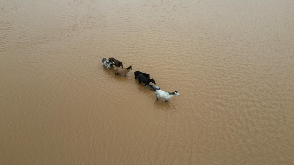 Per le piogge nel sud, il Brasile dovr&agrave; importare riso e fagioli