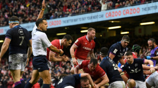 Tournoi des six nations: l'Ecosse d&eacute;chante au pays de Galles