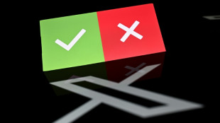 Checagem colaborativa do X falhou em detectar mentiras eleitorais nos EUA, diz estudo
