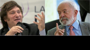 Milei, un vecino inc&oacute;modo para el Brasil de Lula