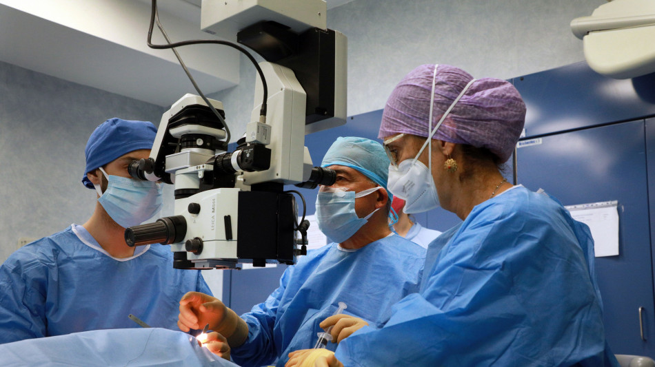 Al Sant'Orsola nasce la cornea ibrida, met&agrave; umana e met&agrave; artificiale