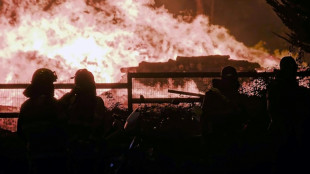 Dozens of fires rage in southern Chile