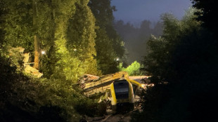 Drei Tote und mehrere Verletzte bei schwerem Zugungl&uuml;ck in Baden-W&uuml;rttemberg 