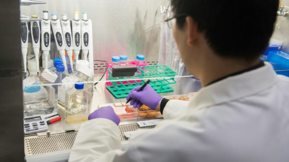 Deutsche Wissenschaftler fordern Aufnahmeprogramm f&uuml;r bedr&auml;ngte US-Forscher