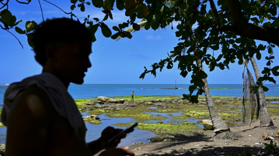 'Not animals': migrants shun shelters on way home to South America