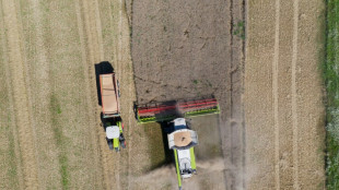 Comment le bl&eacute; fran&ccedil;ais a perdu le chemin de l'Alg&eacute;rie