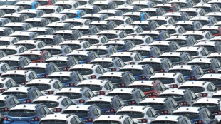 Tokyo's Nikkei leads Asian rally after Japan-US trade deal