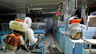 La pandemia de coronavirus dej&oacute; entre 13 y 17 millones de muertos en 2020 y 2021 (OMS)