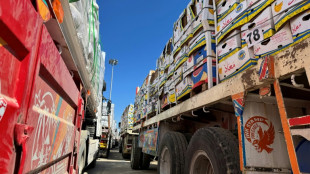 L'ONU appelle &agrave; la reprise imm&eacute;diate de l'aide &agrave; Gaza, bloqu&eacute;e par Isra&euml;l