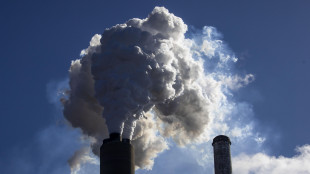 Ue, 'ritorno a centrali a carbone in Italia? Valuteremo se ci sar&agrave; un piano'