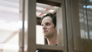 Embaixadora dos EUA diz que jornalista preso na R&uacute;ssia passa bem