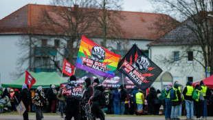 Allemagne : des manifestants retardent un congr&egrave;s de l'AfD