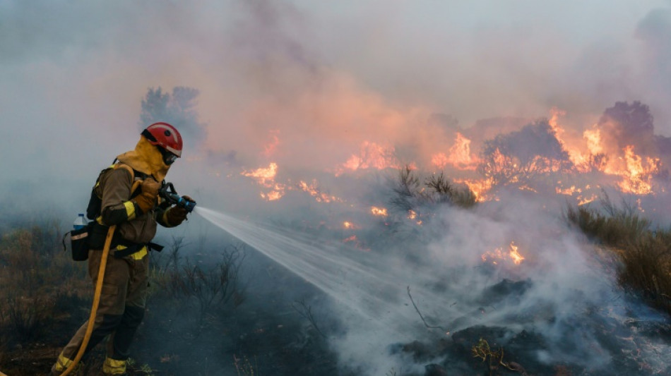 Controlado un gran incendio en el noroeste de Espa&ntilde;a tras la ola de calor