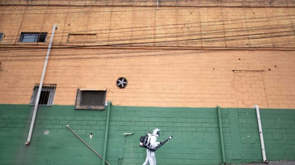 S&atilde;o Paulo e Rio de Janeiro em alerta por dengue &agrave;s v&eacute;speras do Carnaval