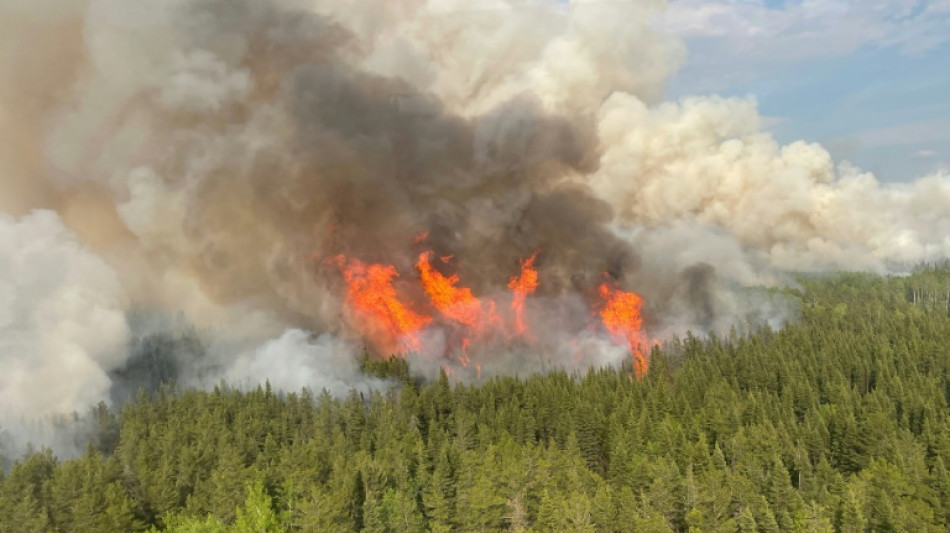 Pr&egrave;s de six millions d'hectares br&ucirc;l&eacute;s par les feux de for&ecirc;t au Canada