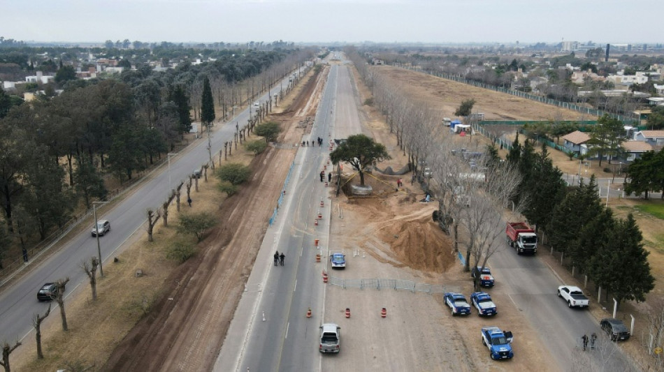 Traslado de un &aacute;rbol de casi 300 a&ntilde;os provoca protestas en Argentina