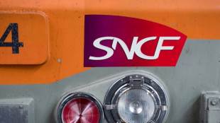 La restructuration de Fret SNCF est engag&eacute;e 