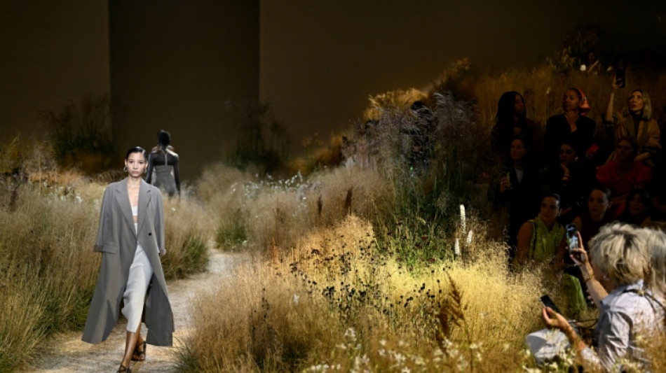 Ativista dos direitos dos animais invade desfile da Herm&egrave;s em Paris