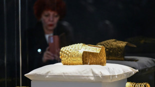 Dutch court jails trio over Romanian golden helmet theft