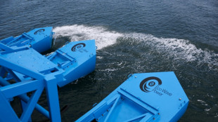 New wave: Sea power turned into energy at Los Angeles port