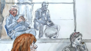 Proc&egrave;s des viols de Mazan: tous les accus&eacute;s pouvaient comprendre qu'il s'agissait de viols, insiste la cour