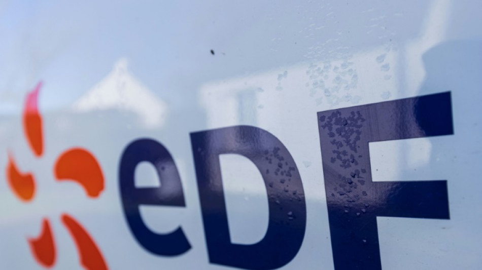 Regulador franc&eacute;s multa al gigante el&eacute;ctrico EDF por abuso de posici&oacute;n dominante