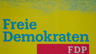 FDP will von Akw-Weiterbetrieb bis 2024 nicht abr&uuml;cken