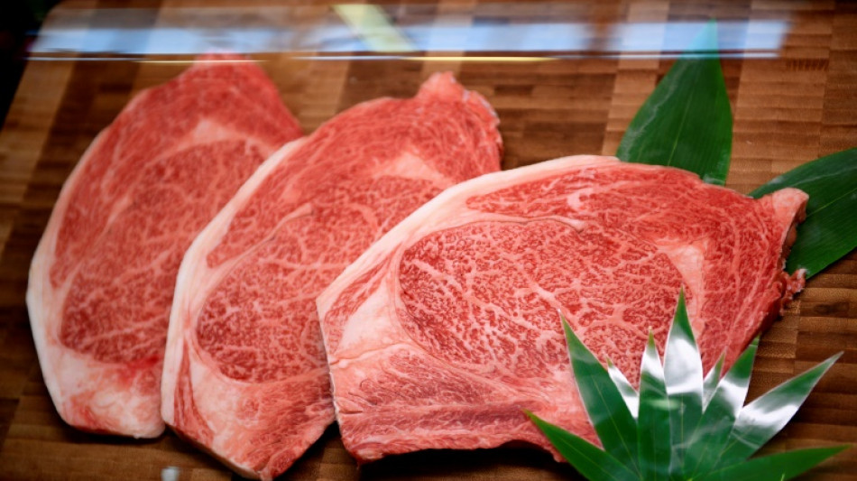 Schadenersatz für teures Wagyu-Fleisch: Gericht weist Klage gegen Tierarzt ab