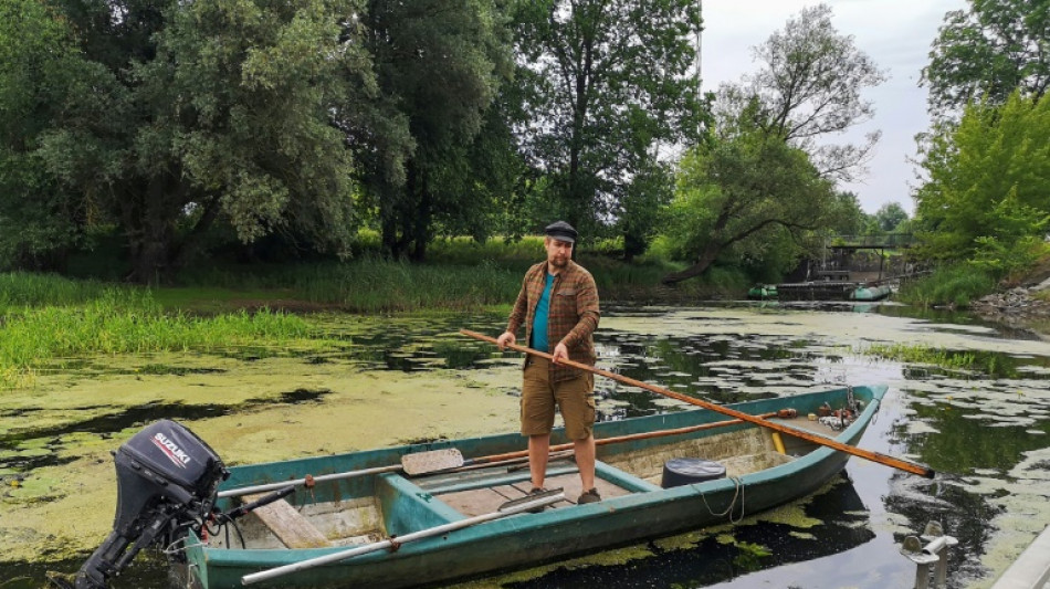 Pescadores temen otra hecatombe de peces por plaga de algas en r&iacute;o en Alemania