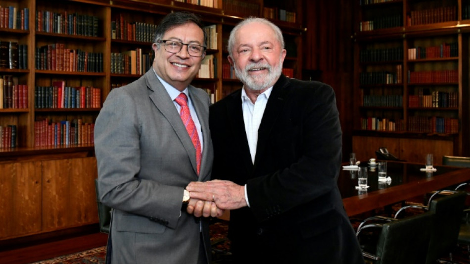 Lula e Petro concordam em fortalecer o combate aos crimes ambientais na Amazônia