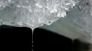 Swiss glaciers shrank by a quarter in past decade: study