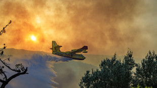 Ft, 'incendi in Europa hanno gi&agrave; causato danni oltre i 3 miliardi'